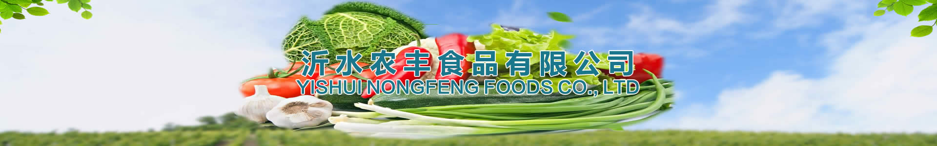 沂水农丰食品有限公司|Yishui Nongfeng Foods Co., Ltd